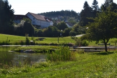 Badeteich_03_Gal