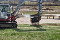 Badeteich_2025_0036