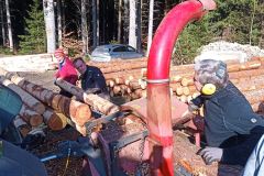 Badeteich_2025_0050
