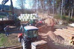 Badeteich_2025_0051