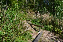 Bewegungsparcours_08