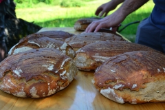 Brotbacken-im-Steinbackofen_003