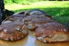 Brotbacken-im-Steinbackofen_004