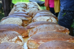 Brotbacken-im-Steinbackofen_009