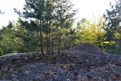 Burgstein_01