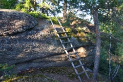 Burgstein_Leiter-zum-Gipfel