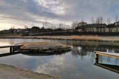 Badeteich-Arbesbach_04.03.2020_G.Braun_006
