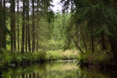 Höllfall_01_Gal