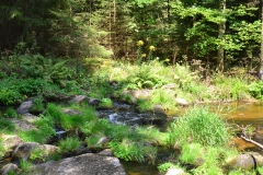 Höllfall_04_Gal