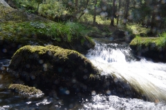 Höllfall_05_Gal