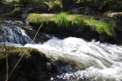 Höllfall_07_Gal